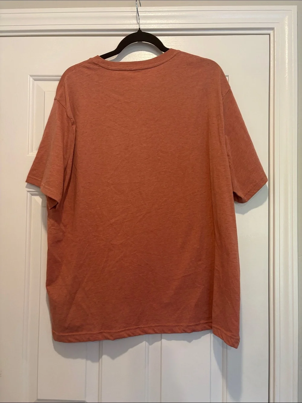 Banana Republic Premium Wash Tee — Burnt Sienna